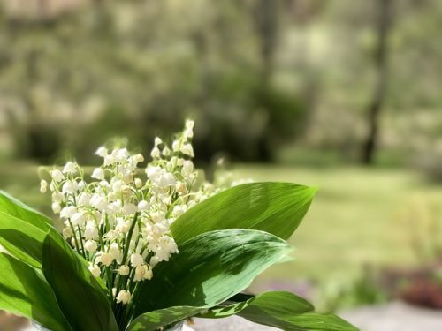 1er mai- vendeville