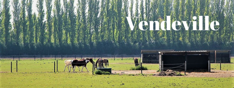 Facebook- vendeville