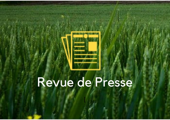 revue de presse- vendeville